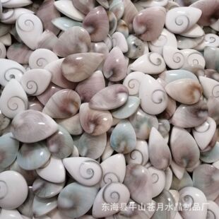 Natural Sun shell pendant conch shell fossil round water drop pendant pendant DIY jewelry specimen wholesale
