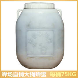 蜂蜜百花蜜蜂蜜大桶散装商用蜂蜜厂75公斤天然土蜂蜜营养蜂花粉