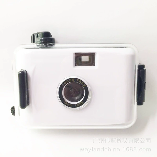 White black shell