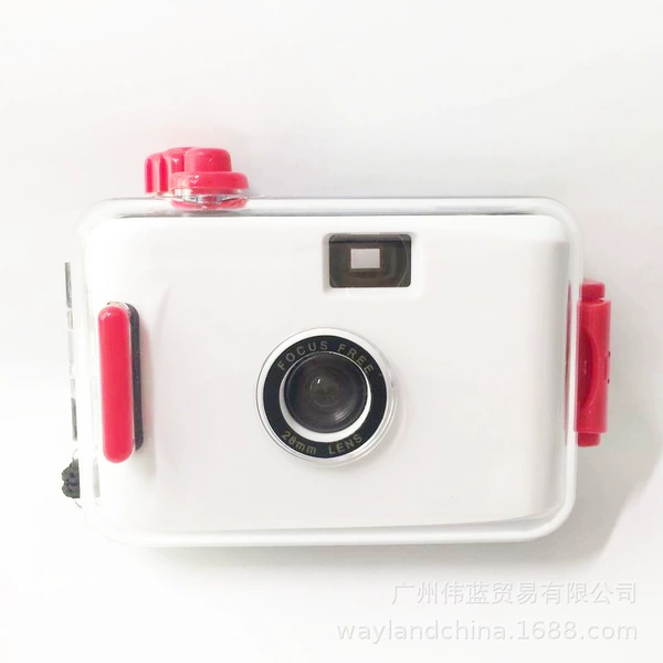White red shell