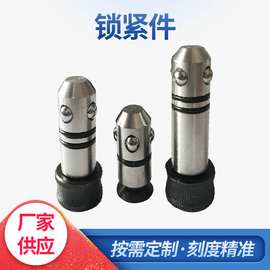 厂家供应多功能孔系 三维柔性焊接平台 工装夹具 锁紧销
