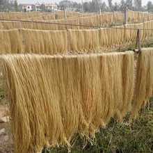 5��t���ۗl5��/3�：���ʳ�������۳��˟������l�r�����ƴַۗl