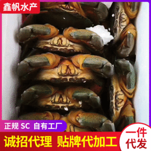 ��з��ĸз����һ������͵��� ��з���� ��з̎Ůз���l