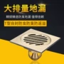 大排量定制全铜防臭地漏芯