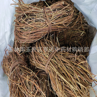 �u�ǲ� �����u�ǲ� ���~�S�ݸ���؛�Ҝ���