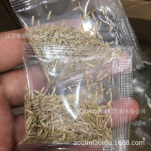 ˼ݷN ޷N ҃B΢^ֲ[