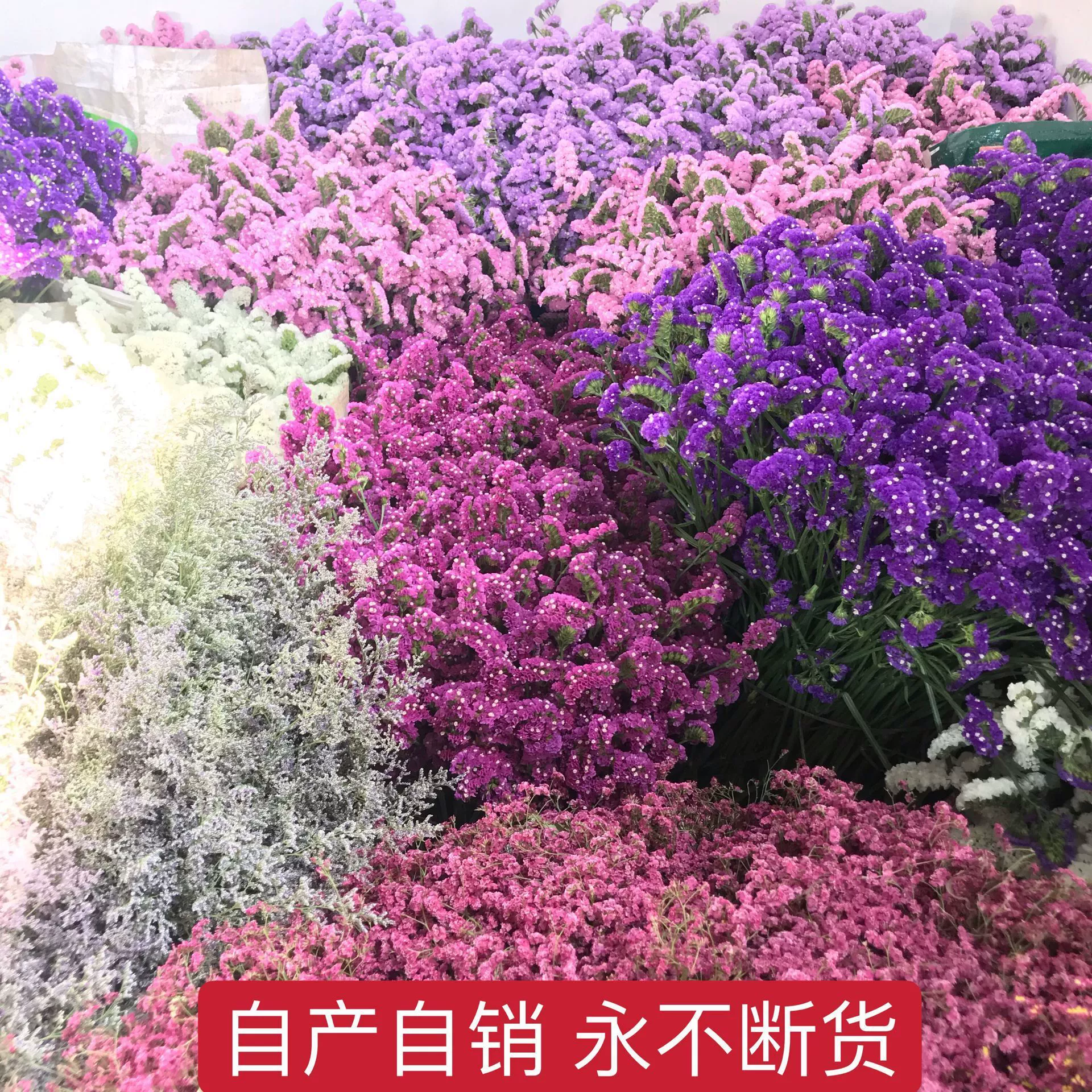 Run Jianghu киоски Цветы продают забудьте меня не полный Star Lover Трава Кристалл цветок оптом