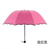 Umbrella wind -shielding rain, rain -resistant and colorful umbrella women's thickened sunscreen umbrella anti -ultraviolet flowing three % off umbrella