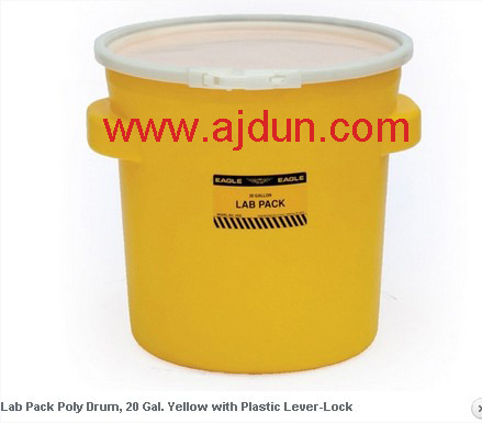 美国eagel20加仑带塑料锁扣实验室处置桶1652