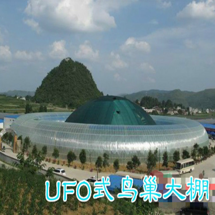 鸟巢大棚种植养殖多功能生态餐厅教育科普温室植物生态种植园