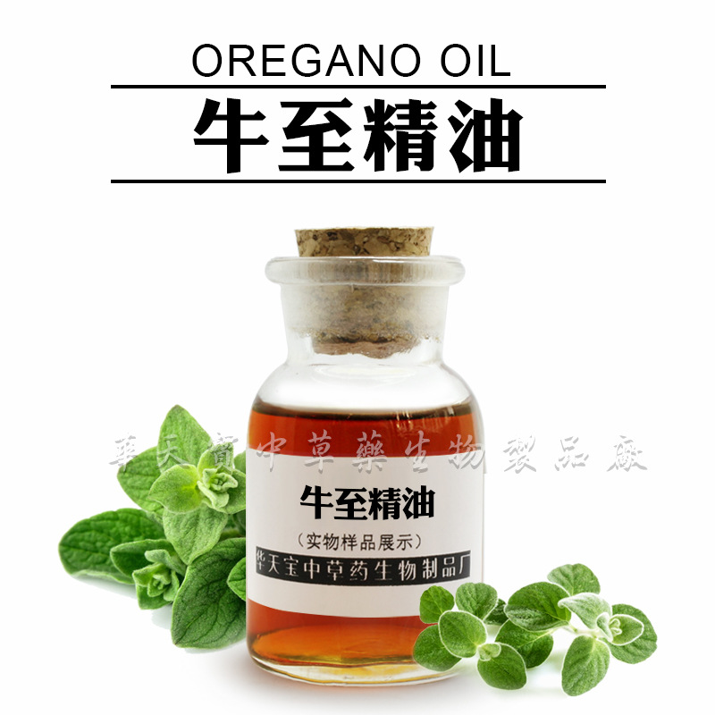 厂家直供牛至油 牛至精油 香芹酚   无色或棕黄或棕红色精油