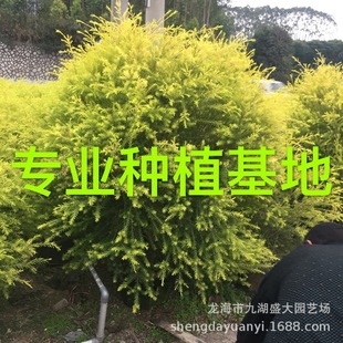 ���l�㽭ǧ�ӽ��� �����S��������r�� ���2�׸��е����S������