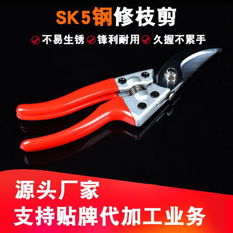货源直供花盛园林果枝剪 园林工具园艺修枝剪果树剪 花枝剪剪刀
