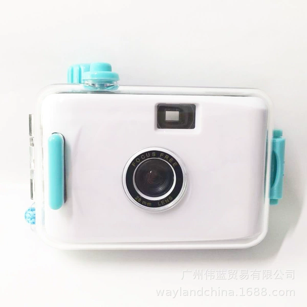 White green shell