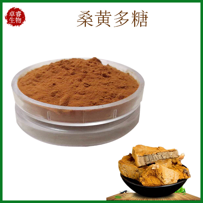 现货供应桑黄多糖50% 桑黄提取物 水溶性桑黄粉 针层孔菌提取物