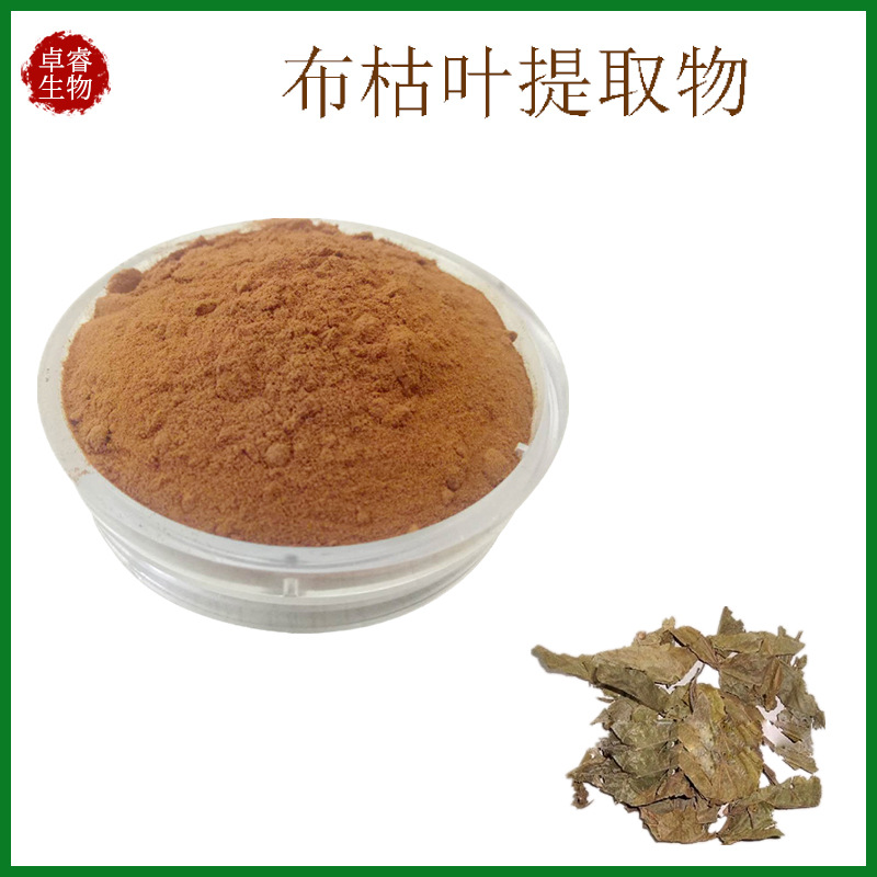 布枯叶提取物 10:1 布枯叶粉原料喷雾干燥粉厂家现货高效