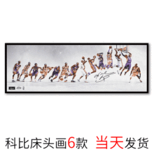 �羳�̵��Ʊȿ͏d�쮋 ���LNBA���Ƿ�����о �Ҿ����Ҵ��^�b�