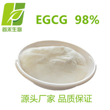 EGCG 98%  ûʳӶûʳ   ̲ȡ   ׺