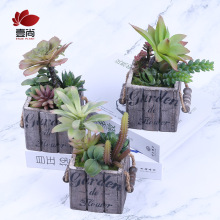 �������ֲ��M������ ����r��С�[��ľ���辰 �S��ֱ��