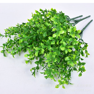 ���������� 7��35����ˮ�ݷ���ֲ���ݼٻ����ԾGֲС���ȼ���