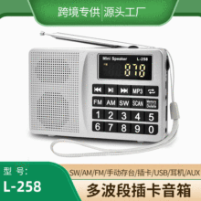 东莞厂家L-258 FM/AM/SW中短波插卡收音机手动调频删选台小音箱