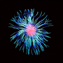 ؛羳l~쾰Ʒܛwɺ-zɺɺ쾰