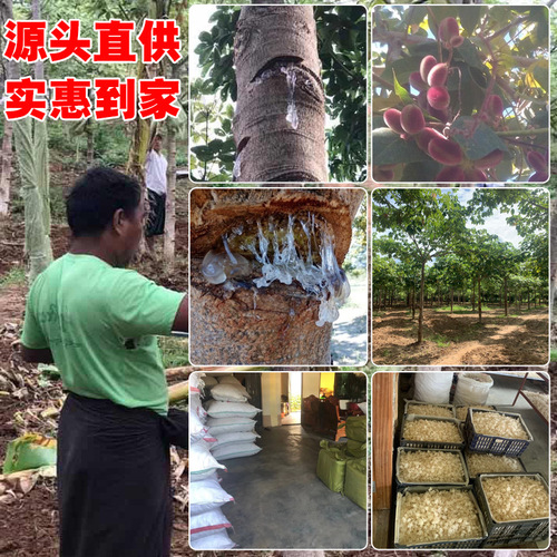 Direct Supply High-Quality and Affordable Snow Fungus, 500g Bagged Edible Snow Fungus, Plant Bird's Nest for Distribution and Wholesale