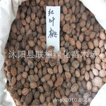 ²һҘN ëҷN Һ ëҺ ~  l