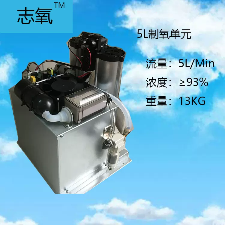 5L制氧系统 无油静音空气压缩机分子筛组件 模块吸附干燥 集成模