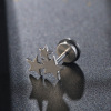 Earrings for beloved stainless steel suitable for men and women, black hair accessory, European style, does not fade