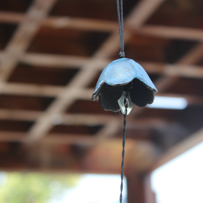 플라티코돈 그랜드 플로럼