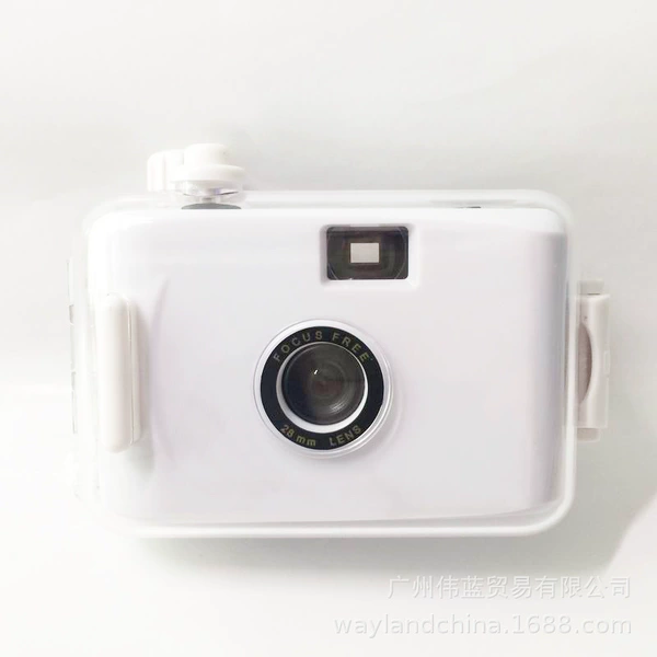 White shell