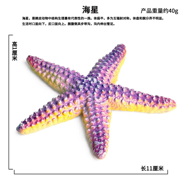 PL127-1338 Starfish