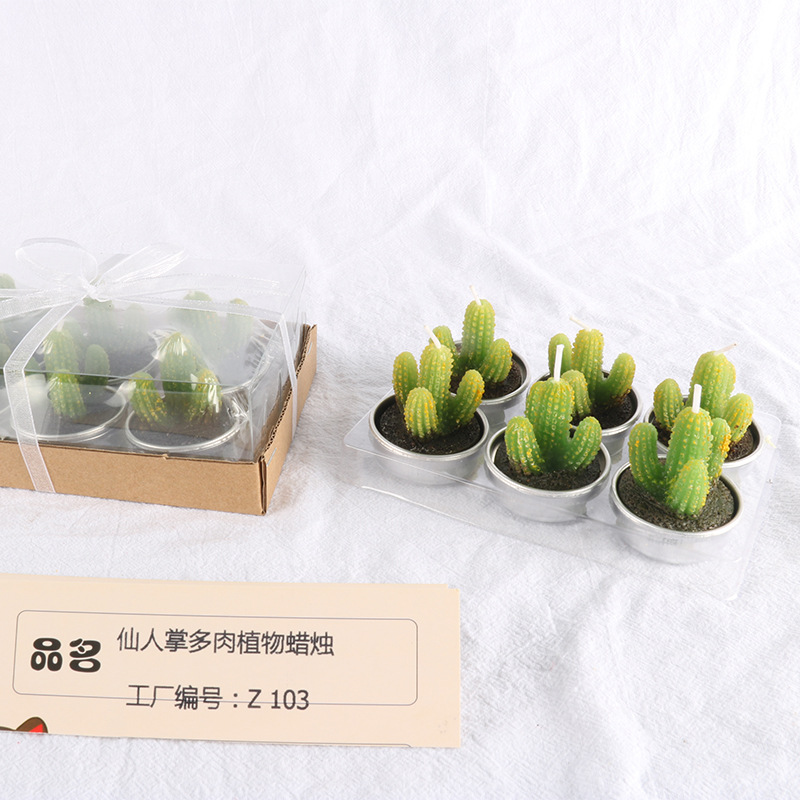 Fábrica al por mayor Shengkun suculenta cactus vela 6 piezas cumpleaños diseño artesanía vela en forma de flor vela