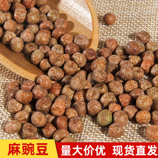 l㶹ô1̖ С㶹̨ˮѿ߲