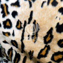 ëƤ��ë�Ứ���y�׺��Lë�q���cë�q�����l��Ⱦֲ�q���׺�ӡ��