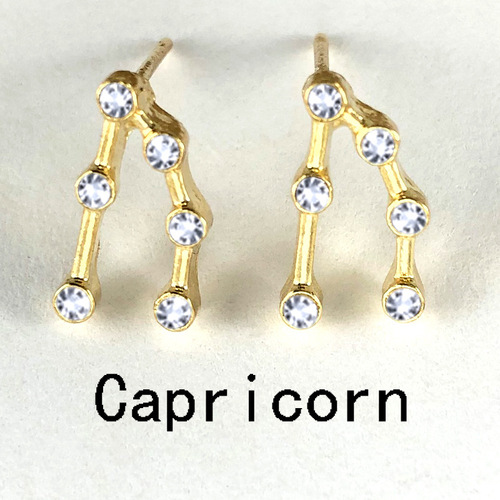 Amazon Wish cross-border exclusive diamond zodiac sign earrings set with diamond 12 zodiac signs European and American card earrings