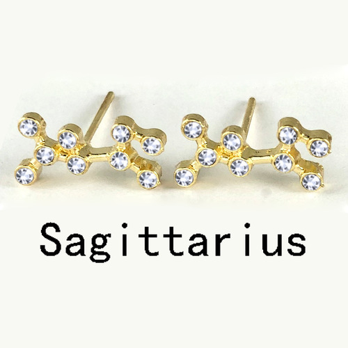 Amazon Wish cross-border exclusive diamond zodiac sign earrings set with diamond 12 zodiac signs European and American card earrings