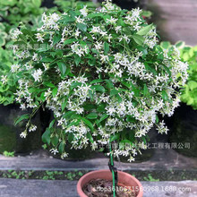 ���ļ��_�������̨�������ٱ�ֲ�����Ի����y�z�L܇�Gֲ�̨�@ˇ