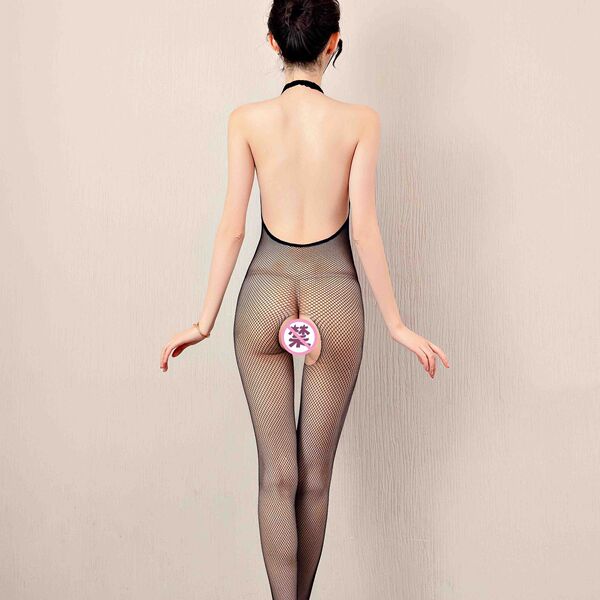 Sex feelings Fun underwear female conjoined netwear perspective…