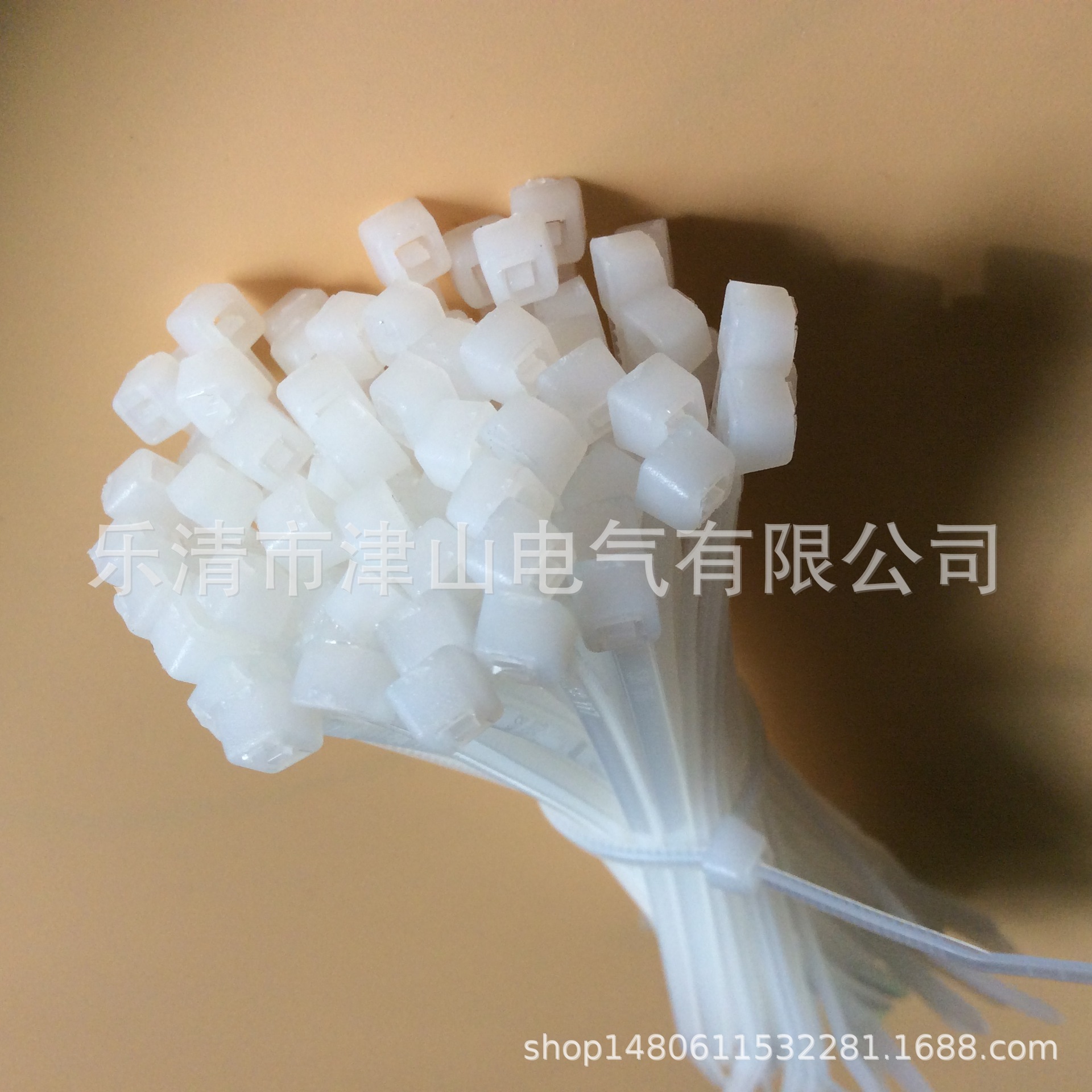 扎带自锁式尼龙扎带 扎线带 塑料绳 固定扎带足数束线带 3*100 等