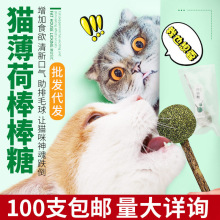 猫薄荷棒棒糖 木天蓼棒去毛球猫咪磨牙洁齿玩具猫零食猫糖批发