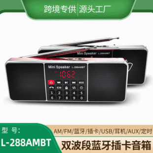 �����{������L-288AMBT�p����FM/AM�忨���˙C6W�p����TypeC�o��