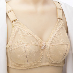 薄いレースの透明な下着の女性の無鋼の輪のスポンジのブラジャーのメーカーの卸売りの大きいサイズの大きいカップの越境のブラジャー