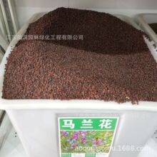 �R�m�N�� �^�p�R�m���N�� �R�m�^�N�� Ұ�˷N�ӱ��|���� �߳�ѿ��