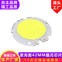 发光面42MM梅花板底板60MM COB光源 COB灯珠 LED灯珠 LED光源射灯