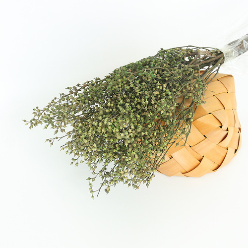 Preserved flower DIY material, star anise preserved millet fruit, preserved flower gift box glass cover garland material