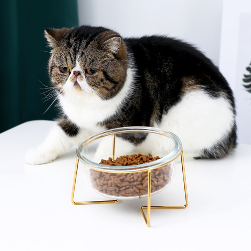 Cat bowl with slanted mouth, tilted glass pet bowl, cat food bowl, cat food bowl, cat rice bowl, dog food bowl, cervical vertebra protection high feet