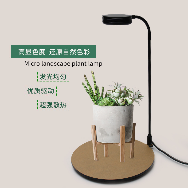 Brillante LED micro paisaje luz botella ecológica luz paisaje pecera luz acuario luz planta relleno luz musgo Luz