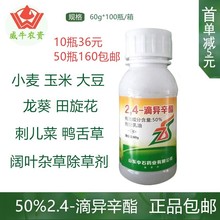 50%2.4�ή��������݄�С������~���݄��������i�����j��60���]